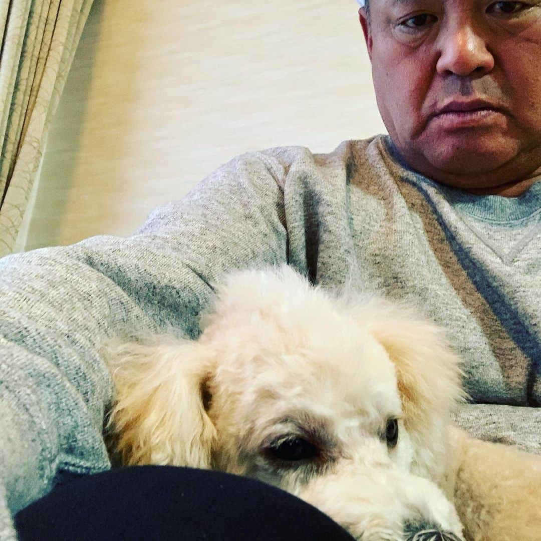 金村義明さんのインスタグラム写真 - (金村義明Instagram)「愛犬と泊まる宿のパイオニアホテルらしく、連日GOTOトラベルで一杯らしい！ 温泉♨️があるからまぁええか！」11月18日 19時12分 - yoshiaki_kanemura