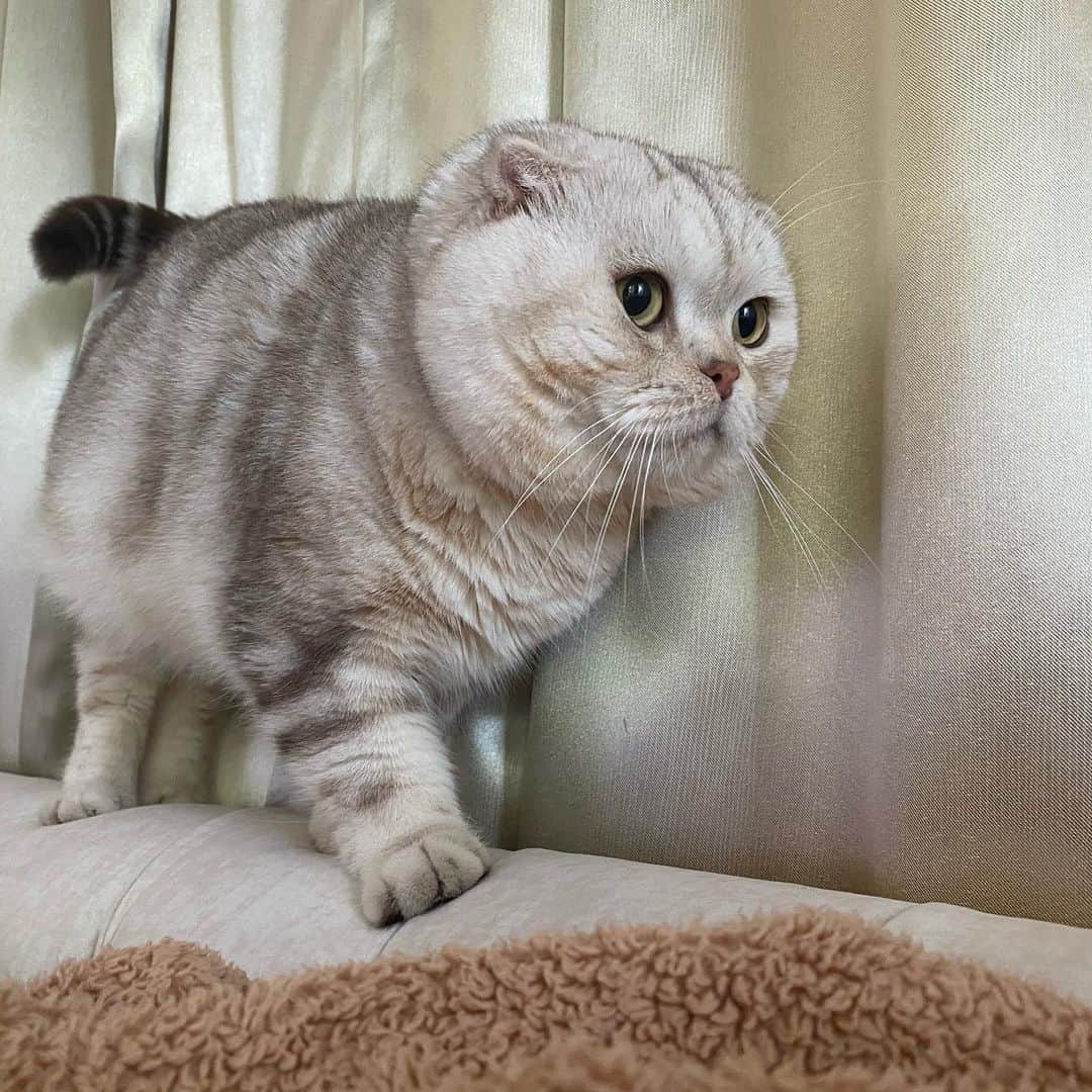 Haruのインスタグラム：「Alone or not you gotta walk forward. 🤟🏻 #วันนี้พิมาเท่ #พิลูก้า」
