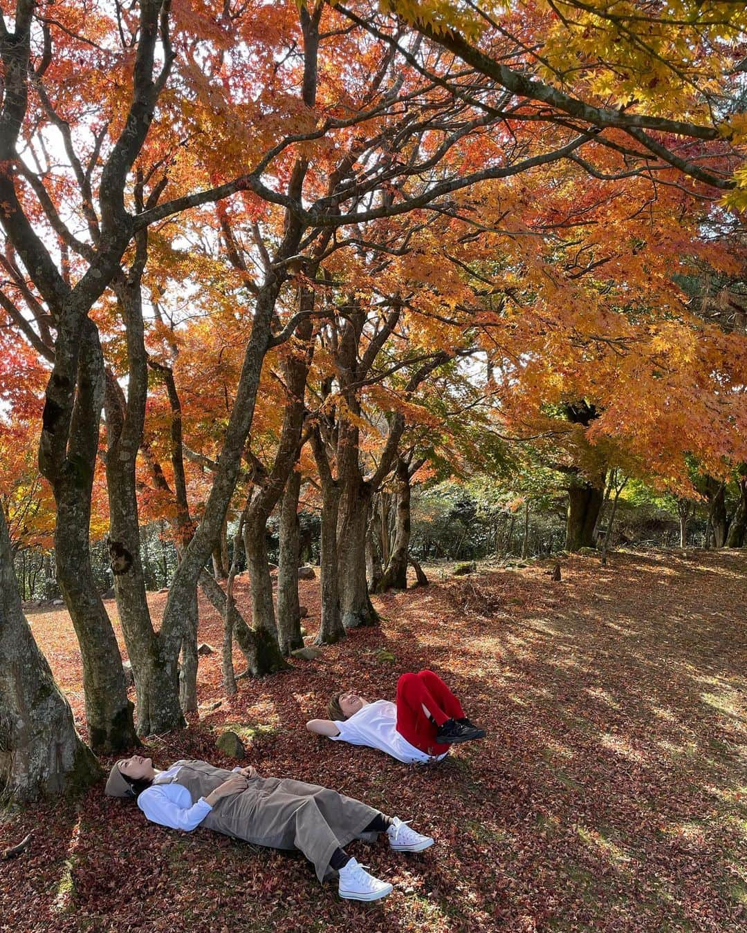 和田美枝さんのインスタグラム写真 - (和田美枝Instagram)「寝転んだ結果。。。  こうなる🍁🍁🍁  #紅葉 #背中はキャンバス #art #Hi!MEN #寒霞渓」11月18日 19時27分 - miewada