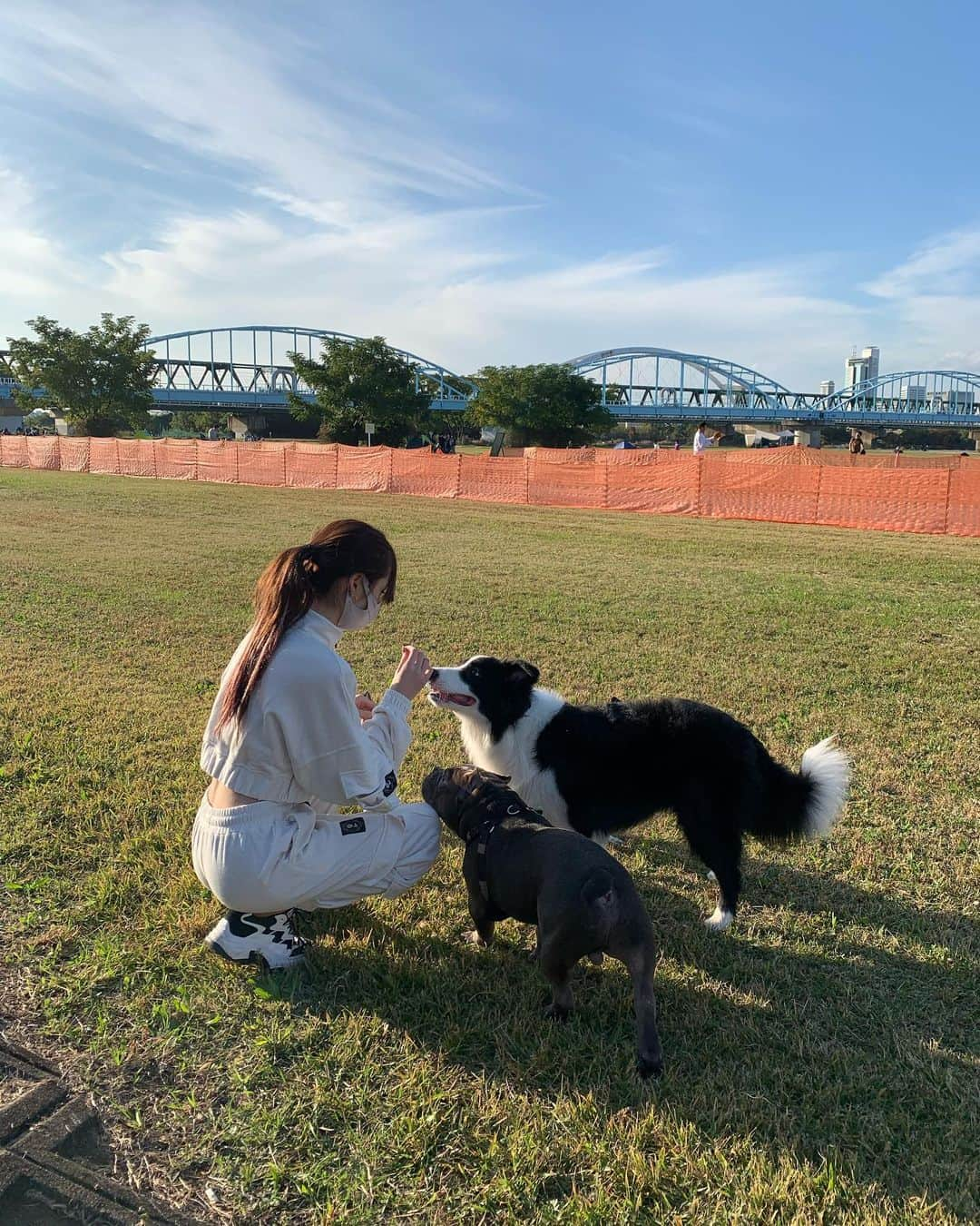 miuさんのインスタグラム写真 - (miuInstagram)「最近はお姉ちゃんの🐶と広場でお散歩🧡」11月18日 19時27分 - sq._.mu