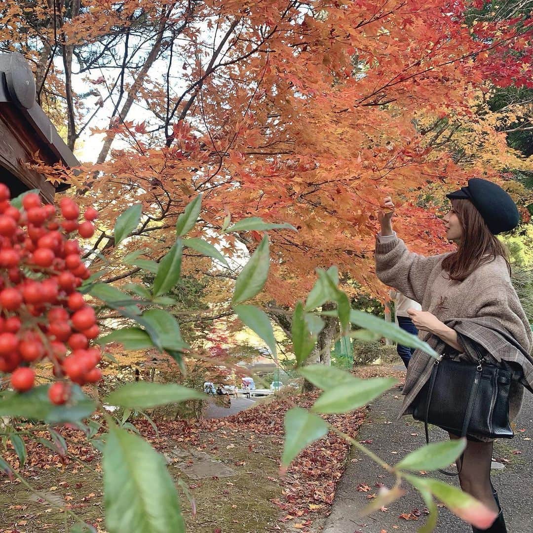 nyaachanのインスタグラム：「* 紅葉🍁 綺麗やったし楽しかった☺️ 水遊びしたいときだけ引っ張っていかれる私w すぐ言うこと聞くw * * #紅葉#kyoto#竜隠寺#秋#京都#京都紅葉」