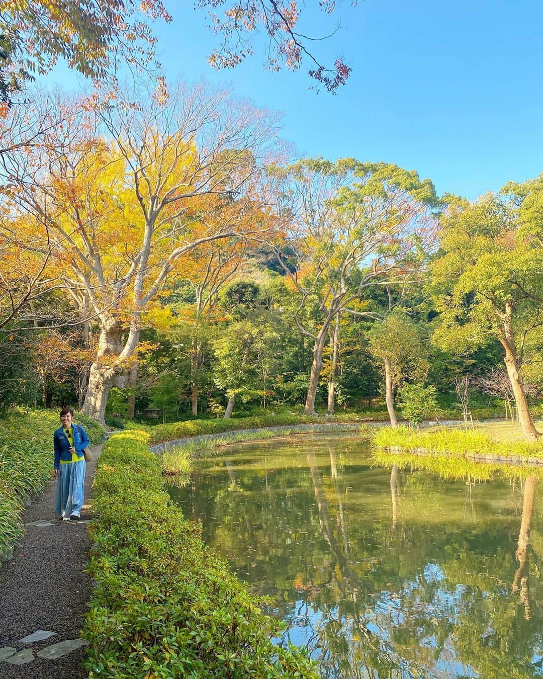 Hiroe Hiranoさんのインスタグラム写真 - (Hiroe HiranoInstagram)「またもや鎌倉の紅葉🍁 鮮やかな紅葉を見たい✨ ってことでサクッとお隣町へ。  なんとも美しいカラーのグラデーション。 日本の四季を感じるひととき🇯🇵 いいですなーぁ🌳🌳🌳  鶴岡八幡宮、鎌倉宮、報国寺、 めぐり、、、  個人的に #荏柄天神社  のクラシックな佇まいで良かった。 最後の立派な木の写真の所です。  #japan #日本 #kamakura #鎌倉 #紅葉　#beautifuljapan」11月18日 19時39分 - hiroe_hirano