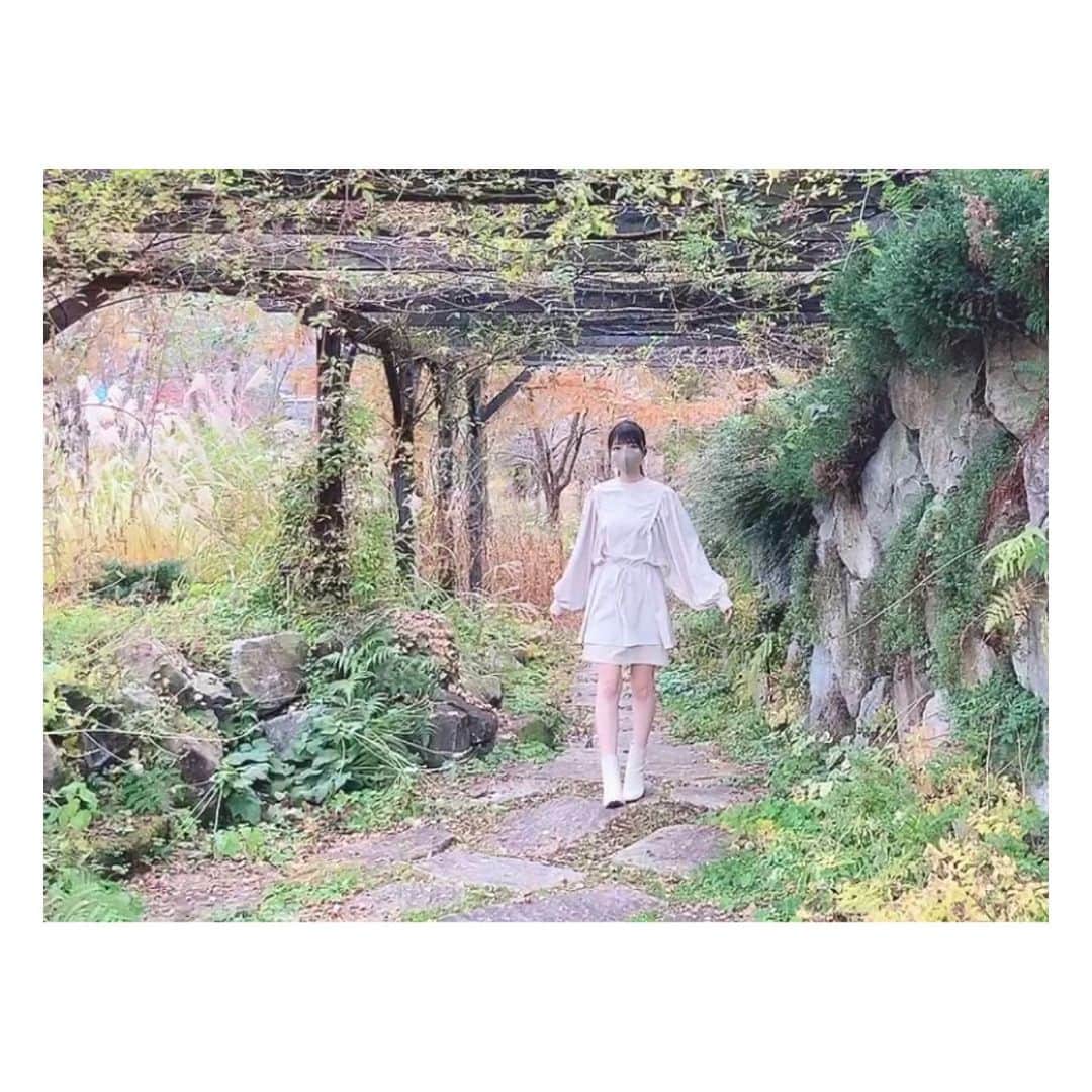 山崎エリイさんのインスタグラム写真 - (山崎エリイInstagram)「ㅤㅤㅤㅤㅤㅤㅤㅤㅤㅤㅤㅤㅤㅤㅤㅤㅤㅤㅤㅤㅤㅤㅤㅤㅤㅤ トコ🚶‍♀️トコ。 ㅤㅤㅤㅤㅤㅤㅤㅤㅤㅤㅤㅤㅤㅤㅤㅤㅤㅤㅤㅤㅤㅤㅤㅤㅤㅤ 未だに どんぐりと落ち葉の絨毯に テンションが上がってしまいます🍂 ㅤㅤㅤㅤㅤㅤㅤㅤㅤㅤㅤㅤㅤㅤㅤㅤㅤㅤㅤㅤㅤㅤㅤㅤㅤㅤ #4枚目の写真 #ロボットみたいな歩き方 #軽井沢 #Autumn #Erii #山崎エリイ」11月18日 20時03分 - erii_yamazaki