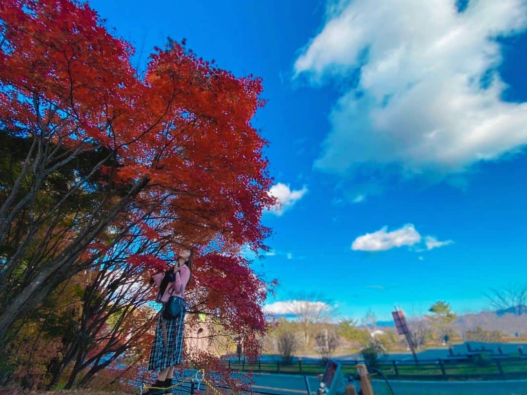 愛田杏奈さんのインスタグラム写真 - (愛田杏奈Instagram)「. 真っ青な空の下で 真っ赤に染まった紅葉が 綺麗すぎて感動😭🍁 . . 日本って素晴らしい🇯🇵❤️ . . .  #紅葉 #秋 #写真 #紅葉写真 #紅葉狩り #もみじ #自然 #日本 #綺麗 #広角レンズ #広角カメラ #iPhone #iPhone11 #ポートレート #ポートレート撮影 #写真好き女子 #天気 #最高 #感動 #低身長 #低身長コーデ #149cm #スエードライダース #ピンクライダース #ツイードスカート #秋コーデ #instagood #likeforlikes #followme」11月18日 20時51分 - anna_osada