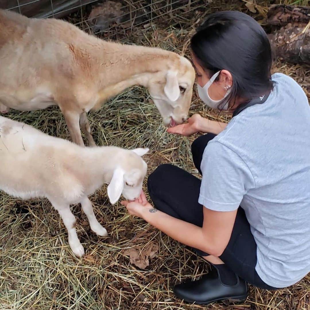 マヤ アリーナのインスタグラム：「A few days late, but thank you for all the birthday love 🥰 I spent my birthday in a perfect way touring our local @alohaanimalsanctuary 🐷🦆🐓🐐I got to meet Anna, the sweetest goat I’m sponsoring, hear some awesome pig ASMR and found out that goats love bananas 😝 Each of these animals had touching and heartbreaking stories of where they came from. You know I’m a firm believer in compassion for all so to hear the terrible things humans put these animals through was so heart wrenching. Please realize that we are all beings sharing this beautiful place we call Earth, it takes no effort to be kind and compassionate. Sponsoring an animal or donating to your local animal shelter is definitely a great way to give back this holiday season. Truly grateful for places like these. Here’s to another year older and another year of being that crazy animal person ✌️  少し遅れたけど、誕生日のお祝いありがとうございました❣️誕生日にはオアフ島に新しくできたアニマルサンクチュアリーに行ったよ🐽こういう保護の場所には本当に感謝。ここに住んでいる動物はほぼみんな虐待の状況から救われた。これから人間が動物に対してもっと親切な人生を送ることを願います🙏」