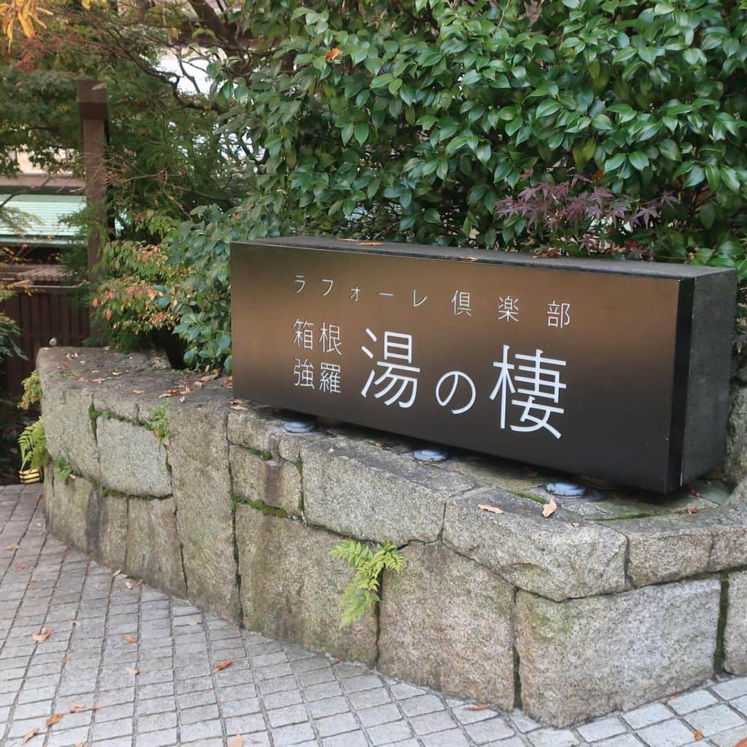 ImotoEtsuyo さんのインスタグラム写真 - (ImotoEtsuyo Instagram)「和モダンの洗練されたデザインが映える アットホームな雰囲気のくつろぎの湯宿。  ラフォーレ倶楽部　箱根強羅　湯の棲♩  大涌谷を源泉とする良質な温泉は、 硫黄やカルシウムを含む硫酸塩泉で、 美肌効果があり、 冷え性などにも良いみたい。  木のぬくもり溢れるインテリアや モダンな囲炉裏などスタイリッシュな 大人の空間で心も身体もやさしく 包まれてゆく時間が過ごせる　 そんなお宿でした。  ペットと同伴で宿泊出来る プランもあるそうです。  ラフォーレ倶楽部 箱根強羅 湯の棲 〒250-0408 神奈川県足柄下郡箱根町強羅1320  #ワンピース ➡︎ @feerichelu @joint_space   #ラフォーレ倶楽部箱根強羅湯の棲  #ラフォーレ倶楽部箱根強羅  #箱根旅行  #箱根  #箱根温泉  #強羅  #登山鉄道  #ロマンスカー #温泉好き  #温泉  #美肌 #艶肌  #白肌 #hakone  #onsen  #onsen♨️  #温泉宿 #タビジョ」11月19日 7時18分 - bisuhada