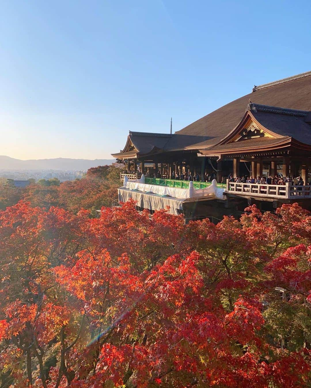 宮田綾子さんのインスタグラム写真 - (宮田綾子Instagram)「⁑ 清水寺 紅葉6分くらい🍁 グリーンと赤の葉っぱが入り混じってて可愛い〜癒された 3年ぶりに訪れた清水寺は、まだ工事中だった！  #京都 #清水寺 #京都観光 #京都旅行 #京都紅葉 #京都散策 #京都旅 #京都観光スポット #京都散歩 #京都デート #京都好きな人と繋がりたい #京都ぶらり #そうだ京都行こう #秋の風景 #秋の京都 #紅葉 #紅葉狩り #もみじ #もみじ狩り #秋空 #紅葉スポット #紅葉2020 #kyoto #kyotojapan #日本の風景 #日本の絶景 #日本の秋   ___________________∞__________________  インスタコンサルティング 受付中 詳細は @ayako__miyata  プロフィールURLよりご覧ください﻿﻿﻿﻿ ___________________∞__________________」11月19日 7時26分 - ayako__miyata