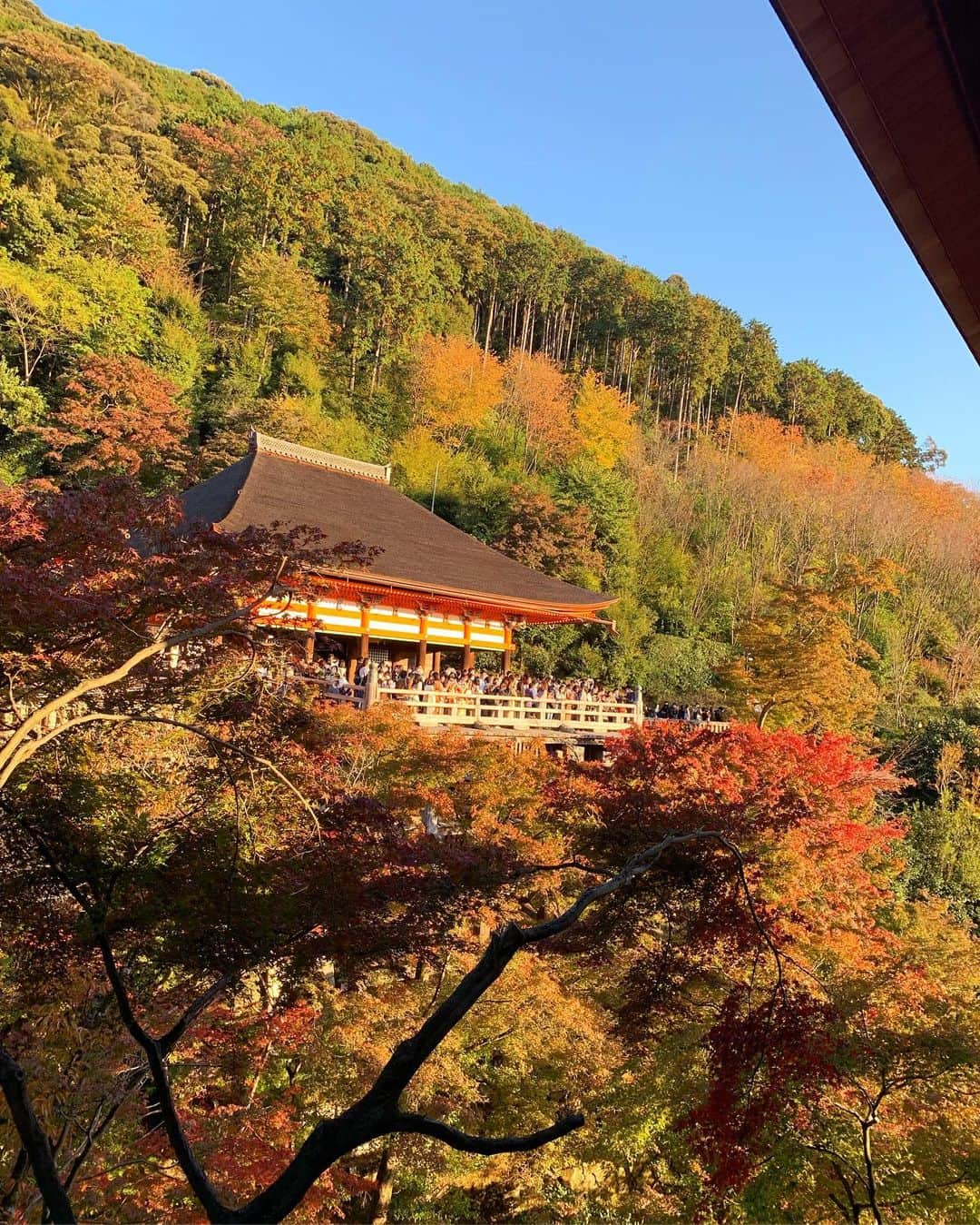 宮田綾子さんのインスタグラム写真 - (宮田綾子Instagram)「⁑ 清水寺 紅葉6分くらい🍁 グリーンと赤の葉っぱが入り混じってて可愛い〜癒された 3年ぶりに訪れた清水寺は、まだ工事中だった！  #京都 #清水寺 #京都観光 #京都旅行 #京都紅葉 #京都散策 #京都旅 #京都観光スポット #京都散歩 #京都デート #京都好きな人と繋がりたい #京都ぶらり #そうだ京都行こう #秋の風景 #秋の京都 #紅葉 #紅葉狩り #もみじ #もみじ狩り #秋空 #紅葉スポット #紅葉2020 #kyoto #kyotojapan #日本の風景 #日本の絶景 #日本の秋   ___________________∞__________________  インスタコンサルティング 受付中 詳細は @ayako__miyata  プロフィールURLよりご覧ください﻿﻿﻿﻿ ___________________∞__________________」11月19日 7時26分 - ayako__miyata