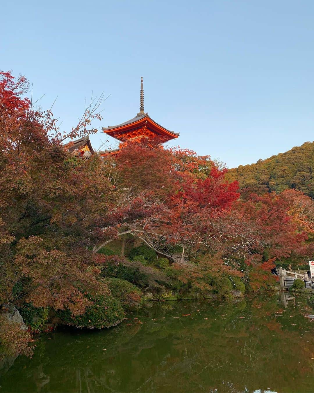 宮田綾子さんのインスタグラム写真 - (宮田綾子Instagram)「⁑ 清水寺 紅葉6分くらい🍁 グリーンと赤の葉っぱが入り混じってて可愛い〜癒された 3年ぶりに訪れた清水寺は、まだ工事中だった！  #京都 #清水寺 #京都観光 #京都旅行 #京都紅葉 #京都散策 #京都旅 #京都観光スポット #京都散歩 #京都デート #京都好きな人と繋がりたい #京都ぶらり #そうだ京都行こう #秋の風景 #秋の京都 #紅葉 #紅葉狩り #もみじ #もみじ狩り #秋空 #紅葉スポット #紅葉2020 #kyoto #kyotojapan #日本の風景 #日本の絶景 #日本の秋   ___________________∞__________________  インスタコンサルティング 受付中 詳細は @ayako__miyata  プロフィールURLよりご覧ください﻿﻿﻿﻿ ___________________∞__________________」11月19日 7時26分 - ayako__miyata