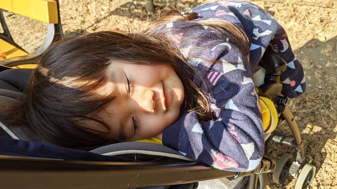 吉村美樹さんのインスタグラム写真 - (吉村美樹Instagram)「大学入学時から、18年間ずっと使い続けていたSuicaがついに新しくなりました☺みどりの窓口帰りに寄ったお昼時の公園は人もまばら。娘とおにぎりをたべて🍙遊んで、眠くなったところで帰宅。それでも昼寝をしなくなった２歳9ヶ月。体力ついたね〜！！ #おはようございます #みどりの窓口 #suica #ペンギン #かわいい #2歳9ヶ月 #体力ついた #ママモデル #吉村美樹 #おはようございます」11月19日 7時49分 - yoshimuramiki0911