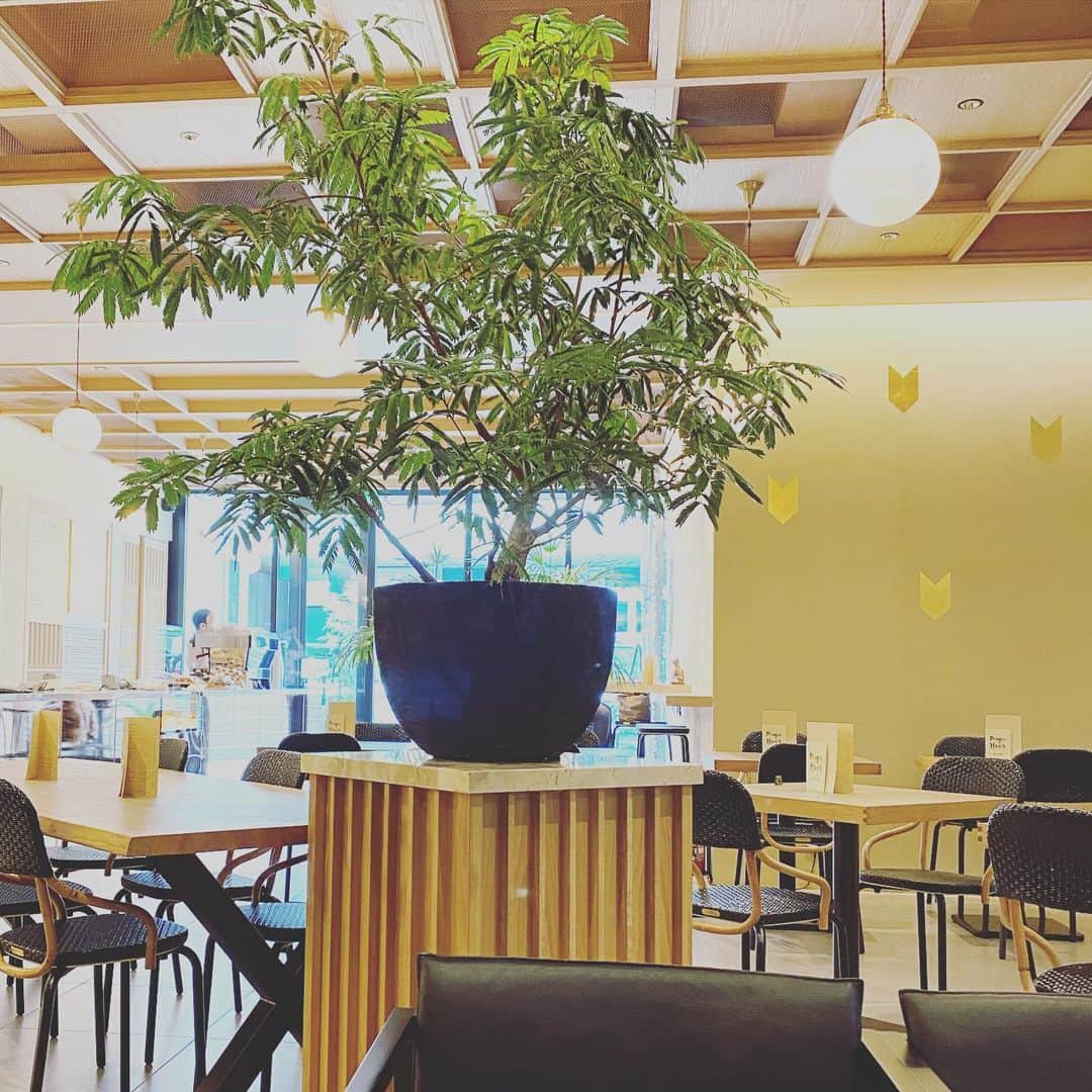 渡辺由香のグルメインスタ