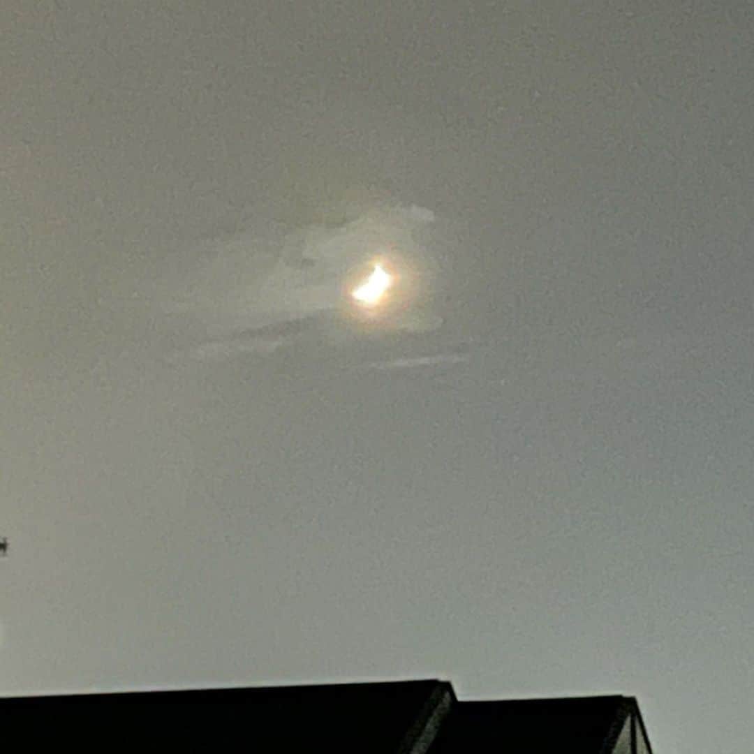 川本睦子さんのインスタグラム写真 - (川本睦子Instagram)「スマホで月が撮れる時代は来るのかな 今日はうっすーい月だった あれ大好き #🌒」11月18日 23時09分 - muzco