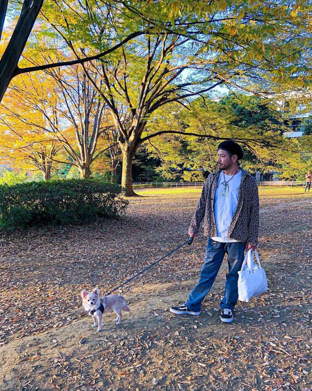 浅野宏明のインスタグラム：「紅葉の🍁季節ぽい。  気にした事ないけど。  #紅葉#春夏秋冬#日本#代々木公園#犬#散歩#ドッグラン#渋谷区#コタロー#本当はピットブルかゴールデンかシェパード飼いたい」