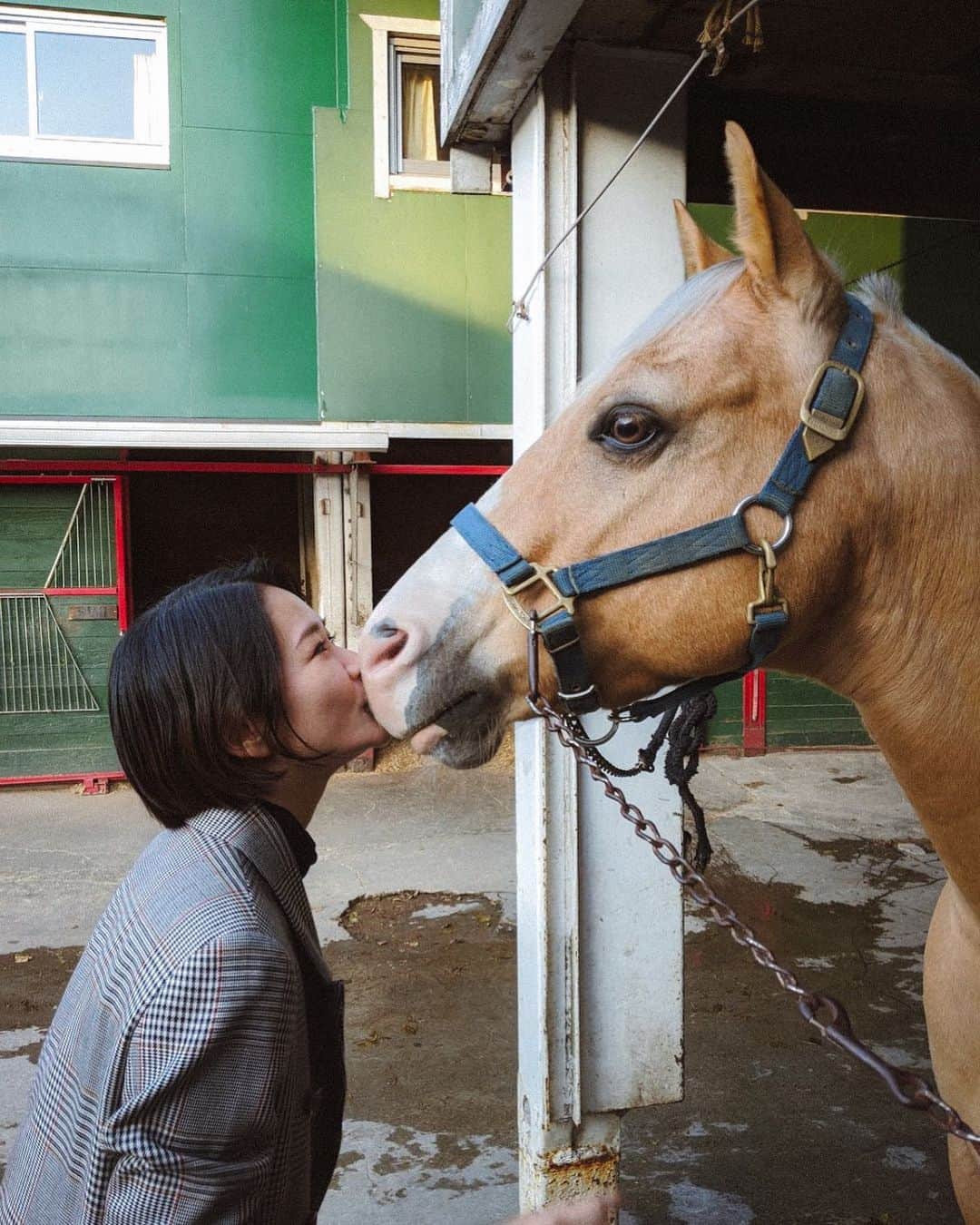 鈴木淳子さんのインスタグラム写真 - (鈴木淳子Instagram)「chu-😘❤️🐴 自然と共生する。 当たり前の生き方を学べたのは 乗馬をやったから。  3歳で初めて馬に出会って また行きたいって親にお願いして 最年少で乗馬クラブの合宿に参加した。 周りがみんなずーっと歳上で 寂しくなって初日に泣いたのを覚えてる。笑 最初は歳上の人達に馴染めなくて 犬と遊ぶか馬と遊ぶか。 そんな乗馬ライフがスタートだった。 未だに覚えてるシーンがいくつもある。  馬ってね 同じ家では暮らしてないけど 大切なパートナーなの。 当たり前だけど 気持ちがあって、性格も違って 喜怒哀楽を共にして 必死に練習して試合に出て。 言葉が通じないけど 心が通じる瞬間は必ずある。  この子は新しい子で まだ５歳だったかな？ やんちゃ坊主の歳です。 (ブランクの長い私は、乗ったら落ちること間違いなし！な予感しかしない笑)  乗用馬は競馬の馬と違って20歳超えても活躍するのが当たり前🙆‍♀️ かわい子ちゃん、いつか乗せてね。 落ち着いてきたら。笑  photo by @hello_takumi  Thanks @windyrider   #virtusridingclub @virtusridingclub #御殿場 #乗馬 #富士山 #ホーストレッキング #乗馬クラブ #ヴィルタスライディングクラブ」11月18日 23時29分 - junkosuzuki