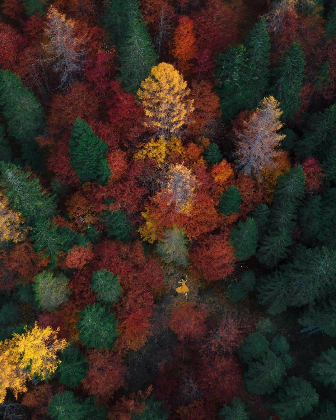 Simone Bramanteのインスタグラム：「{ Fall 2020 } • Shades of Val Visdende, a small valley in Veneto, to definitely fall in love with. #whatitalyis」