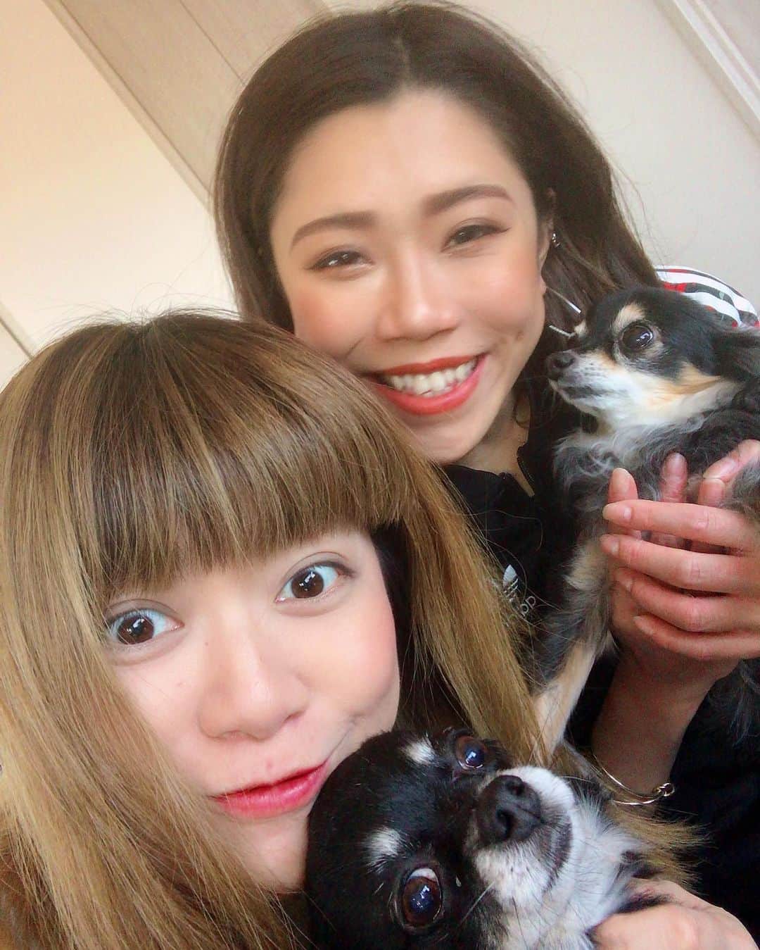飴宮さゆりのインスタグラム：「デザイナーやってるマコちゃんが大出産をして、大きな男の子を産んだという事で昨日に引き続きしほとお家にお邪魔してきましたー‼️ マコも元気そうで良かった🥰 愛犬のマディ&ミューも大はしゃぎでさゆり犬天国状態ー🙌✨❤️ 結心くん、すくすく育って色々一緒に遊びにいこうねー✨ 母子共に健康で安心したよ‼️ また近々会える事を望んでます本当お疲れ様でしたおやすみなさー🥺✨  my friend🥰 @bunny.the.joker  @p0licr0m0  #ペットが子供に猛嫉妬 #サユリーイーツでお寿司お届け🙌　　 #マールブランシュ #タルトはもちろんホール」