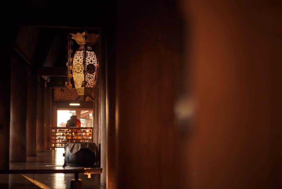 いぶくろ聖志さんのインスタグラム写真 - (いぶくろ聖志Instagram)「静  #camera #japan #a7iii  #京都」11月18日 23時45分 - b.smpl