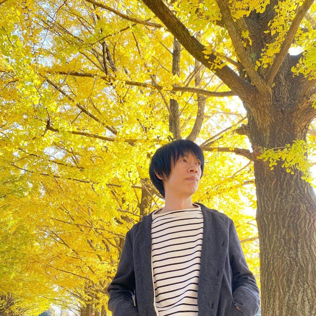山田稔明さんのインスタグラム写真 - (山田稔明Instagram)「2020年、晩秋。」11月19日 0時25分 - toshiakiyamada
