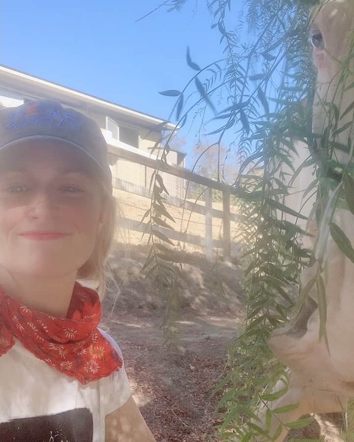 ベス・ベアーズのインスタグラム：「#bidenharris is it Jan yet?」