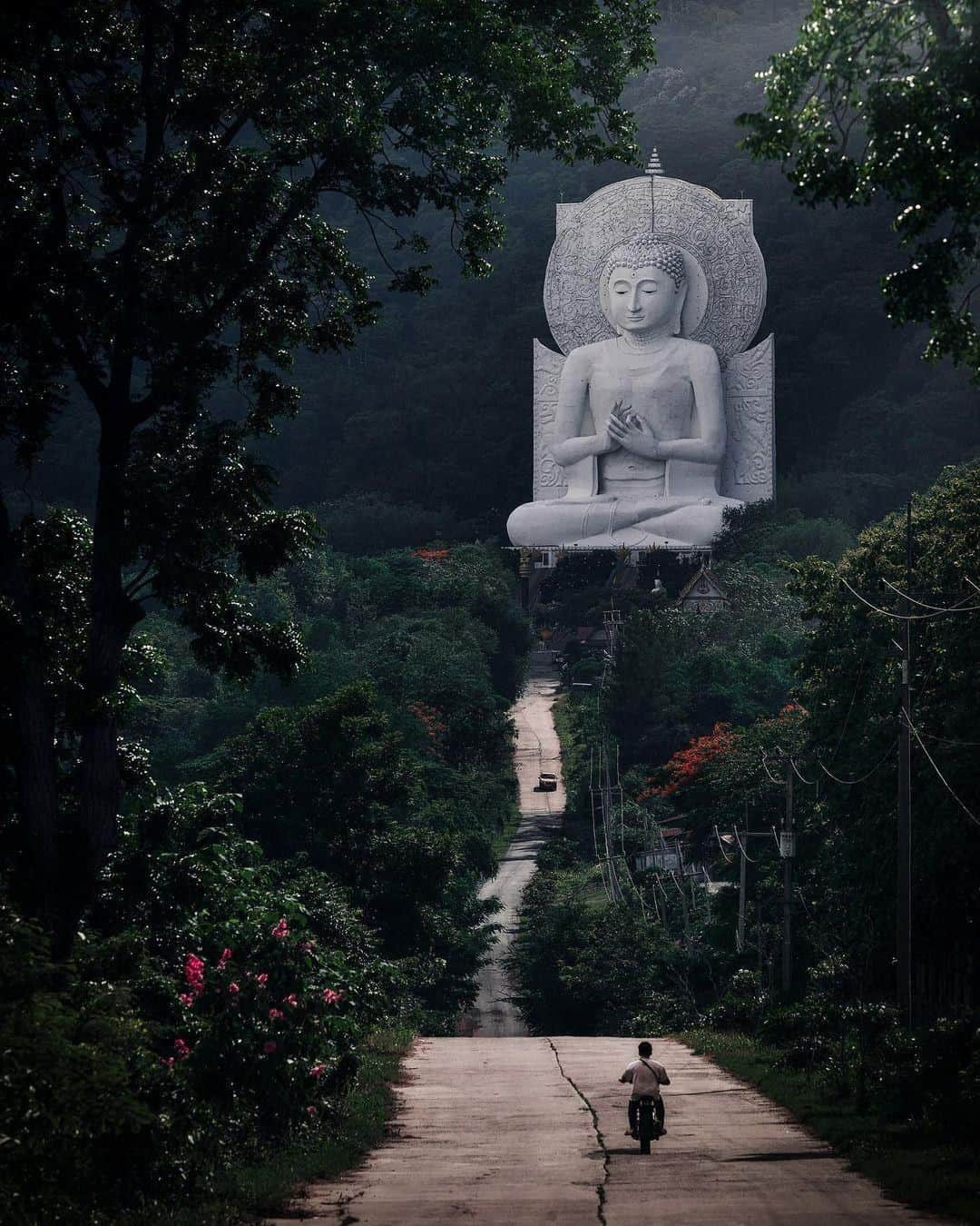 Discover Earthさんのインスタグラム写真 - (Discover EarthInstagram)「Thailand looks amazing, right?.. Who's ever been?   The Big Buddha of Lopburi Province.   #discoverthailand🇹🇭 with @blowithand  . . . . .  #thailand  #lopburi  #ลพบุรี  #monkey  #travel  #monkeys  #ซนบอร์ดเกม  #บอร์ดเกม  #บอร์ดเกมส์  #ดัดผม  #ดัดผมดิจิตอล #buddha」11月19日 1時00分 - discoverearth