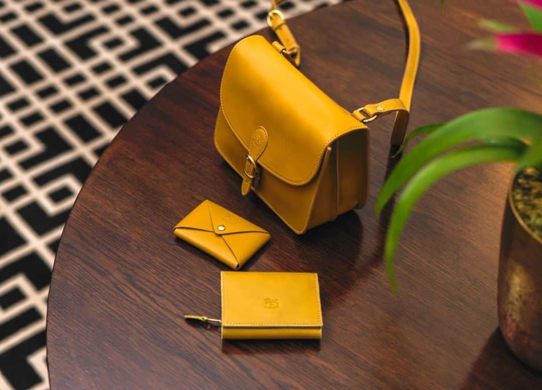 イルビゾンテのインスタグラム：「Beauty, craftsmanship, sustainability: we add new colors and play around with the shapes of our great classics, but the values and guidelines of our production philosophy are not merely seasonal. The FW collection innovates Il Bisonte’s style while staying faithful to its tradition and its sustainability by nature. ☆ #ilbisonte #crossbodybag #leatherbag #wallets」