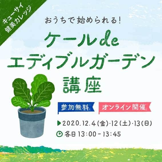 kyusai_kale_officialさんのインスタグラム写真 - (kyusai_kale_officialInstagram)「. こんにちは！今回は、 【キューサイ55周年スペシャル企画】のお知らせです。 . 小さなスペースでも始められる！ おいしくてオシャレな家庭菜園、 「ケール de エディブルガーデン講座」をオンライン開催！ . ご参加をお申込みいただいた方から、 先着で55名さまに「おうちdeケールセット」として、 キューサイファーム島根で採取したケールの【種】と、 キューサイのケール青汁をプレゼント。 . ぜひご参加ください！ . . 【概要】 キューサイは創業55周年を迎えたことを記念し、 “自分らしくしなやかな生き方”を叶えるための情報をお届けする オンラインイベント「キューサイ健美カレッジ」を1年を通じて開催いたします。 . 記念すべき第１回目は、スーパーフード「ケール」の魅力や育て方のコツ、 おいしい食べ方などの情報満載の 「おうちで始められる！ケール de エディブルガーデン講座」！ もちろん参加費無料です♪ . 当日は当社のグループ会社で、東京ドーム約15個分（※）の敷地を持つ 「キューサイファーム島根」の壮大なケール畑より生中継でお届け！ . 専門家をお招きし、おうちで始められるエディブルガーデンの楽しみ方、 ケールの魅力をたっぷりご紹介します。 . ■日程：12月4日(金)・12日(土)・13日(日) いずれも13:00～13:45 . ■参加無料！ . ■参加特典： 先着55名さまに、 キューサイファーム島根で採取したケールの【種】と、 キューサイのケール青汁をプレゼント。 ☆さらに、各回1名さまに、島根の【ケール畑一坪オーナー権】が当たるチャンス！☆ . 詳細はこちら https://corporate.kyusai.co.jp/news/detail.php?p=4264 または、「キューサイ　企業」で検索して キューサイ企業サイトの「News」（2020.11.13更新ページ）をご覧ください。 . おうちでケールを育ててみたい方、先着55名さまに ケールの【種】をプレゼントいたしますので、お急ぎくださいね！ 画像2枚目は去年ベランダでケールを育てたスタッフのケール鉢です☆ . 皆さまのご参加、お待ちしております！ . . ※所有地、借地含む 2020年5月時点 . . . #ケール #ケールワーク #ザケール #キューサイ #qsai #ケール大好き #ガーデニング初心者 #ガーデニング #ガーデニング初心者🔰 #ベランダガーデン #ベランダガーデニング #ガーデニング好きな人と繋がりたい #ガーデニング大好きな人と繋がりたい #ガーデニング部 #おうち時間 #オンライン講座 #オンライン配信 #ガーデニング講座 #エディブルガーデン #無料講座 #プレゼント #先着 #キャンペーン #プレゼントキャンペーン #もらえる #プレゼントキャンペーン実施中 #先着プレゼント」11月19日 8時02分 - kyusai_kale_official