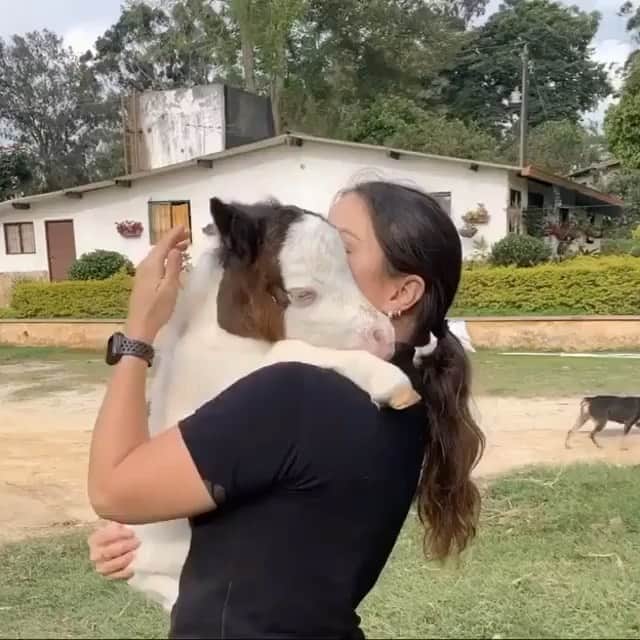 ベス・ベアーズのインスタグラム：「This made my month. Thank you @goodnews_movement and @kmannmakeup for sending to me. Posting here so it brightens your month too. Lord knows we could use some feel good feels right now. @888horses」