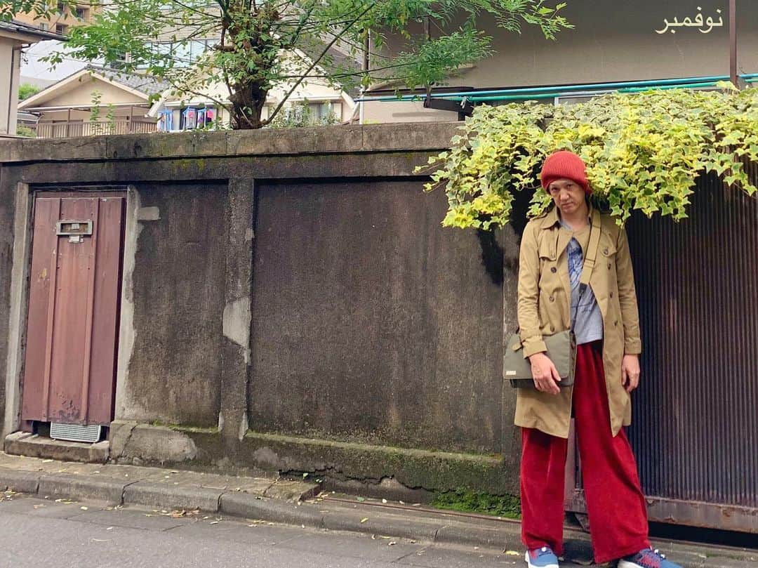 イマイアキノブのインスタグラム：「🥀イマイ 11月のライブ  ✴︎11.21(土) @ 渋川 Casa Midori 『男子縦列女子横列』Vol.17  出演 イマイアキノブ  vo.gt 青木マリ vo.gt  ゲスト JON(犬) vo.org  17:30/18:00 ¥3500 1drink込  ✴︎限定20名  ご予約・お問い合わせ Casa Midori(カーサミドリ) 群馬県渋川市有馬1080-3  ☎︎ 0279 2 6544 11:30~18:00 (留守電にメッセージをお願いします) ✉︎ casamidori342@gmail.com  無料駐車場あり カーサミドリ敷地内 若しくは当店東側  道向こうの空地フェンス内 ___________________________  ✴︎11.22(日） @ 前橋 音楽と思想のBAR Cool Fool 『男子縦列女子横列』Vol.16  出演 イマイアキノブ vo. gt 青木マリ vo. gt  ゲスト サトチエ vo. gt  Open 19:00 Start 19:30 Charge ¥3000（ドリンク別） 人数制限有り 要予約  ご予約・お問い合わせ CoolFool tel 090-9686-0261 群馬県前橋市千代田町5-2-10 SATO BLD 2F ___________________________  ✴︎11.28(土) @ KAVACH⚡︎YA 『君と逢う新宿』vol.23  出演 イマイアキノブ イノクチタカヒロ(hotspring) ウエサ・K・フリーマン(NAkidZ)  open 19:00 start  19:30  music charge  ¥2500＋飲物代  予約 問い KAVACH⚡︎YA  新宿区歌舞伎町2-9-18 ライオンズプラザ新宿2F ☎︎03 6233 8677 (20:00-06:00) ___________________________  ✴︎11.30(月) @/fr 代官山 晴れたら空に豆まいて   出演 イマイアキノブ  ✖️ 山本久土  ✖️ サトウミノル  ゲスト詩人 吉成虎維  開場 19:30 開演 20:00  配信視聴料金 ¥1500 (1週間の配信アーカイブ付）  会場観覧料金 ¥3500 (1週間の配信アーカイブ付） ドリンク代別  ✴︎定員50名 チケット購入 https://20201130.peatix.com/   晴れたら空に豆まいて ☎︎03-5456-8880 渋谷区代官山町20-20  モンシェリー代官山B2  #imaiakinobu  #イマイアキノブ #livemusic」
