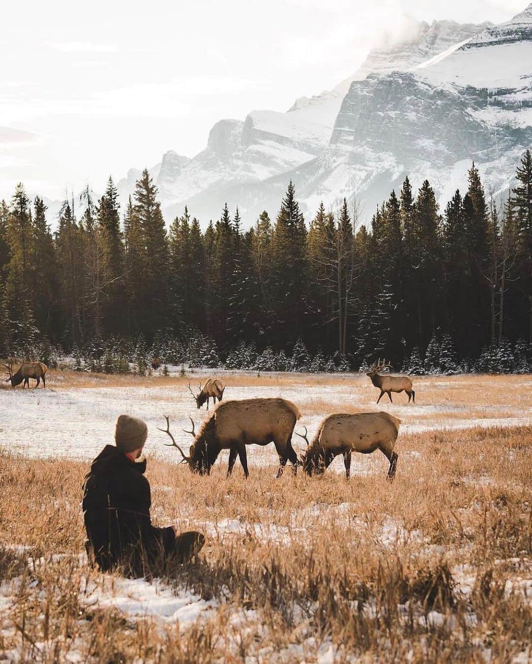 FOLKのインスタグラム：「Some favorites I’m really loving. Which ones are speaking to you today? 1.) @braybraywoowoo 2.) @kuhrmarvin 3.) @withgar 4.) @rachelbpressley 5.) @evakosmasflores 6.) @jude_allen」