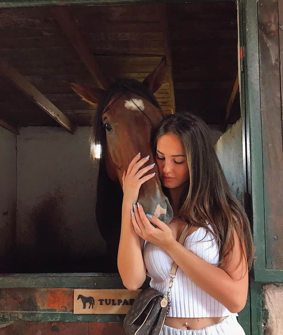 WildLifeさんのインスタグラム写真 - (WildLifeInstagram)「Our #horselover follower @ahorselover 🐎 🐴 👸 #horse #horses #horselove #horselover」11月19日 4時43分 - wildlifepage