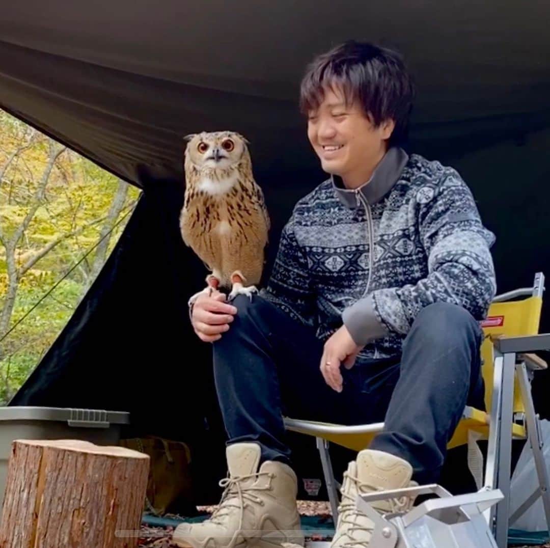 GEN3 Owlのインスタグラム：「新しいプロフィールこれにした☺️ The new profile! #owl #owlgaru #camphack取材 #campzine掲載希望」