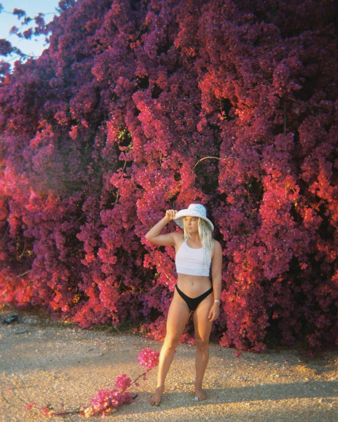 フェリシティー・パルマティアーのインスタグラム：「Blooming on film 💕」