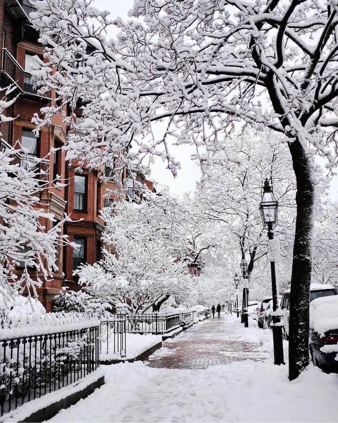 Wonderful Placesさんのインスタグラム写真 - (Wonderful PlacesInstagram)「A morning after the snow stopped in Boston ✨💙💙❄️❄️✨ . Pictures by ✨✨@kimmyn_✨✨ #wonderful_places for a feature 💙❄️」11月19日 6時23分 - wonderful_places