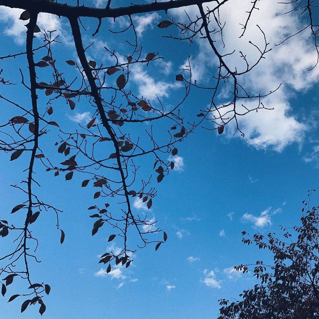 萩田帆風さんのインスタグラム写真 - (萩田帆風Instagram)「. 水を沢山飲むようになって超暑がりになったから薄着意識してる、、ヨ 冷え性なんだけどね。🙂❔」11月19日 17時18分 - honchandaayo