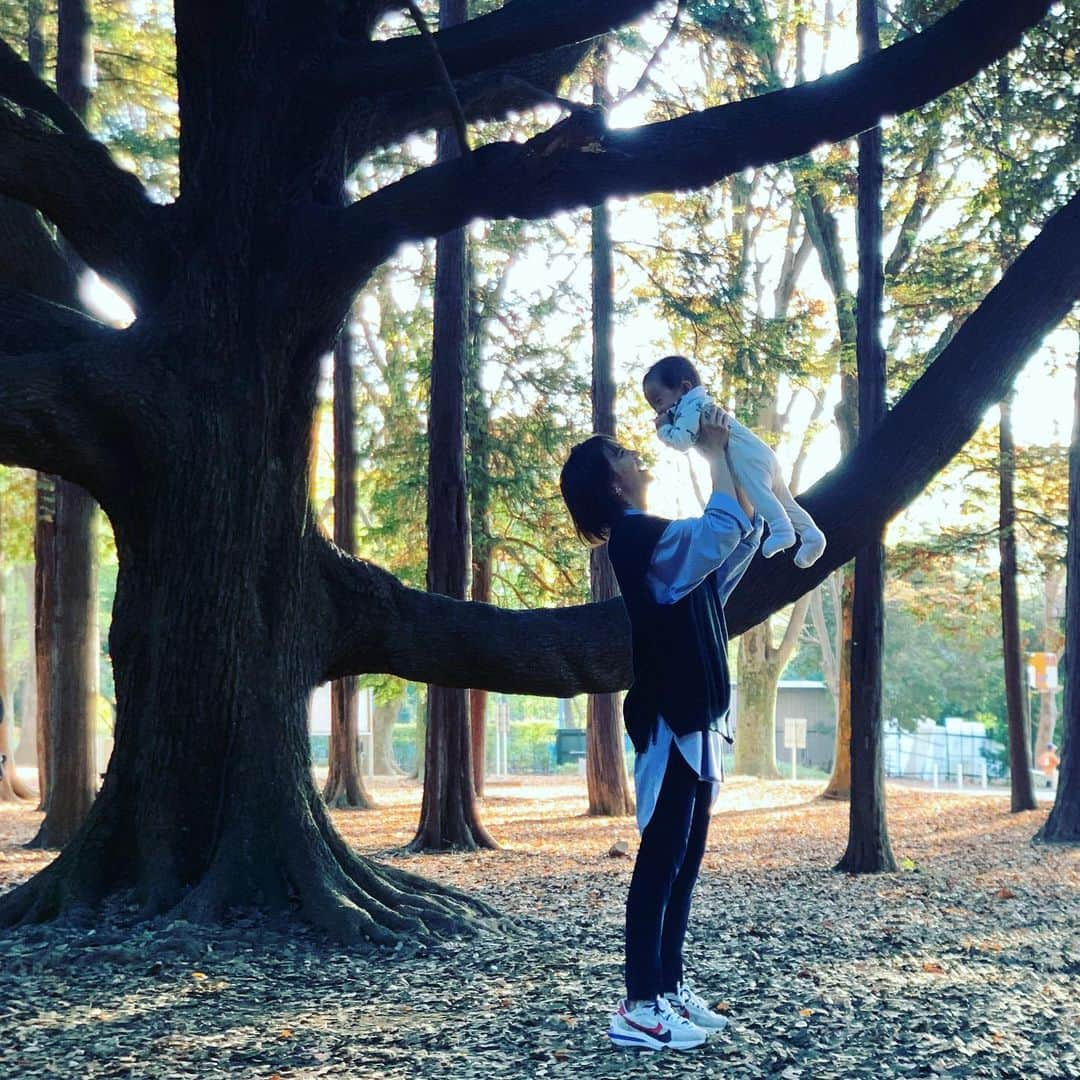 安田美沙子さんのインスタグラム写真 - (安田美沙子Instagram)「スクール終わりに、息子と約束してた代々木公園へ🍁 秋が沢山で癒されました。 スマホだけど、秋の木漏れ日が美しくて、感動しました。 . . . 息子の体力を消費すると共に、私も癒されつつ、弟にも素敵な景色を。。。 . . . 19:30のインスタライブ、子供達が賑やかかもしれませんが、楽しみにしとります🤍 . . #カメラマンは息子」11月19日 17時18分 - yasuda_misako