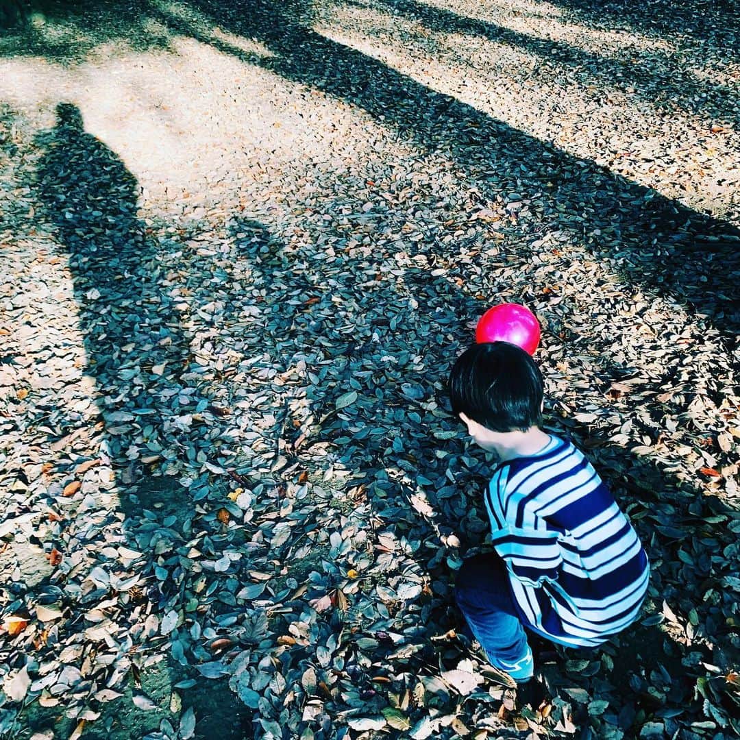 安田美沙子さんのインスタグラム写真 - (安田美沙子Instagram)「スクール終わりに、息子と約束してた代々木公園へ🍁 秋が沢山で癒されました。 スマホだけど、秋の木漏れ日が美しくて、感動しました。 . . . 息子の体力を消費すると共に、私も癒されつつ、弟にも素敵な景色を。。。 . . . 19:30のインスタライブ、子供達が賑やかかもしれませんが、楽しみにしとります🤍 . . #カメラマンは息子」11月19日 17時18分 - yasuda_misako