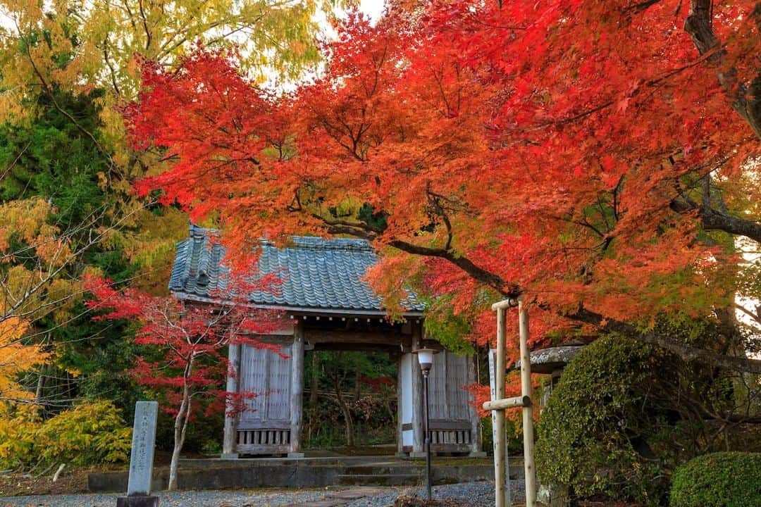 福島県のインスタグラム