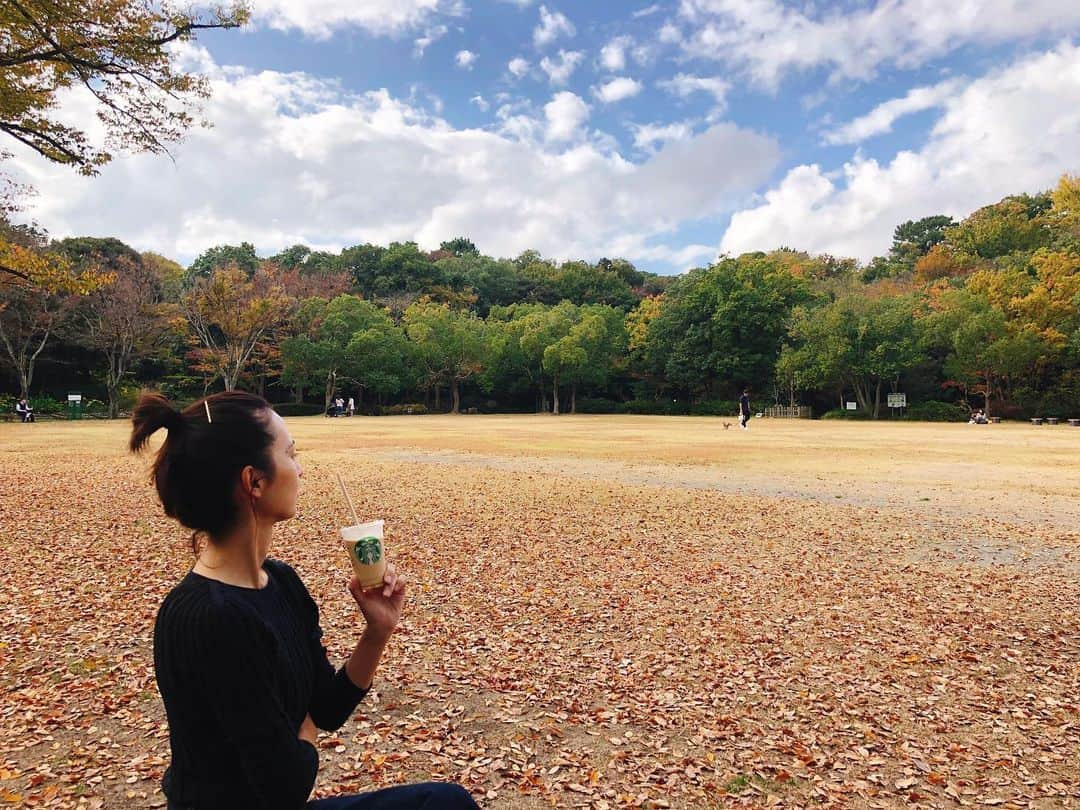 井川絵美さんのインスタグラム写真 - (井川絵美Instagram)「紅葉の浜松城公園🏯🍁 ふかふかの落ち葉がいい感じ🍂 最近はまたテイクアウトをよく利用しています。 昨日から無性にお好み焼きが食べたくて、 聖隷住吉向かいのこころのお好み焼きと塩焼きそばをテイクアウトして紅葉みながらいただきました😋 外で食べるとなんでこんな美味しく感じるんだろう。 今年の秋はあたたかいなぁ〜 ・ #浜松市 #浜松ランチ #浜松城公園 #お好み焼きこころ #テイクアウト #テイクアウトランチ #アラフォーの日常」11月19日 15時47分 - igawa_emi