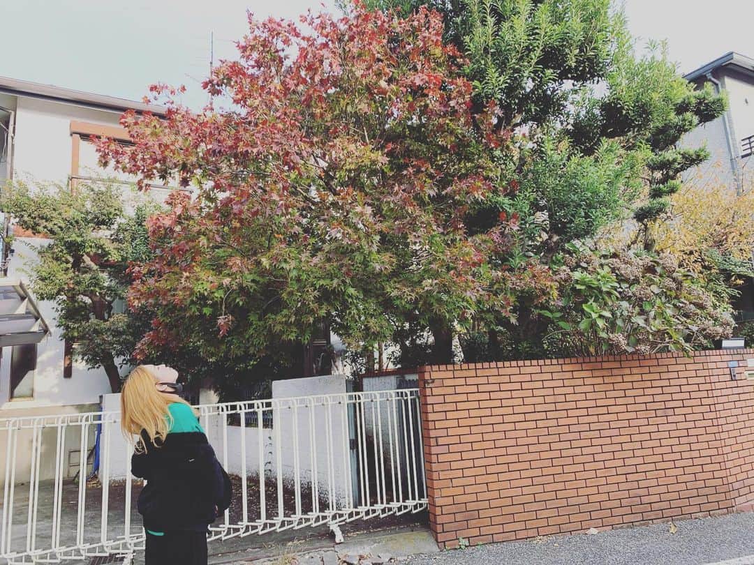 坂口杏里のインスタグラム：「電話の方で、いたずらや、ただ話したいだけという方等、とにかく当日予約以外のお電話をした方は、番号控えているので通報等させていただきます。 凄く迷惑です」