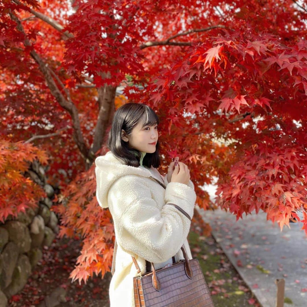 鈴木志歩のインスタグラム：「紅葉🍁 . . . #fashion #hair #hairstyle #koreanfashion #koreanmakeup #얼짱 #얼스타그램 #모델 #데일리룩 #페션 #오늘의훈녀」