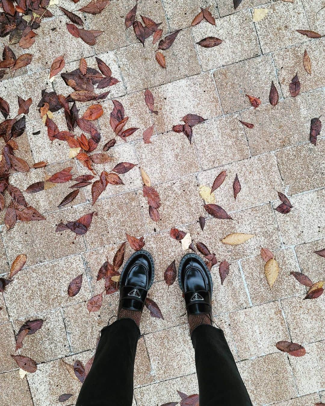 イ・シヨンさんのインスタグラム写真 - (イ・シヨンInstagram)「이렇게 비가 오고나면 내일부터는 추워지겠지🥲 #가을가지마🍁🍂」11月19日 16時19分 - leesiyoung38