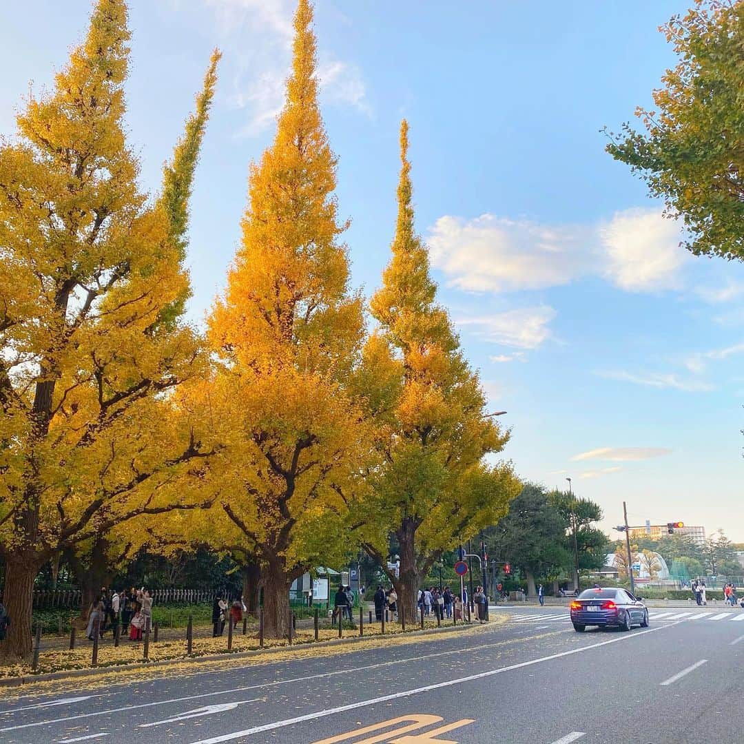 のインスタグラム：「Thankful for this beautiful season here in Tokyo🍂🍁view with golden trees 🌞. . . . 毎年楽しみの景色🥰　都内でこんなに綺麗な銀杏の木が見れて嬉しい😋. . . . #tokyo #japan #autumn #autumnvibes🍁 #love #city #外苑 #銀杏の木 #綺麗な景色」