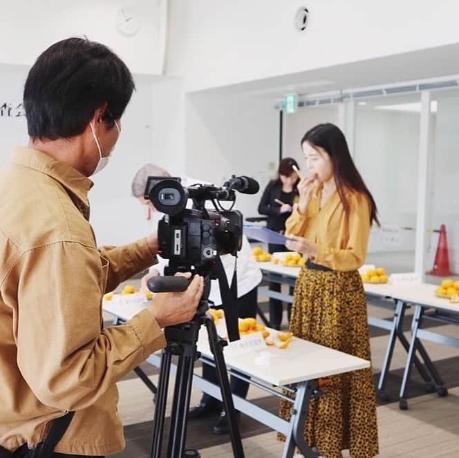 大桃美代子さんのインスタグラム写真 - (大桃美代子Instagram)「和歌山県有田市のブランドみかんの審査。  有田みかんのブランディングのお手伝いをしています。  ブランド農産物として、温州みかんの「有田クォリティー」が生まれます。  認定農家が作るみかんは、今年は味も早くからのって美味しい。  ふるさと納税の返礼品になっています。  有田クォリティー。  有田みかん農家のレベルに驚きます。  冬はやっぱりみかん。  ビタミンC補給して、免疫力上げていきましょう。  有田のみかん畑は🍊色です。  #有田みかん#有田市#有田#和歌山県#有田クォリティー#野菜ソムリエ#農業ジャーナリスト#新潟食料農業大学 #客員教授#農水省#大桃美代子#ブランディング#コーチング#セルフブランディングコーチ#みかん」11月19日 16時31分 - miyoko_omomo