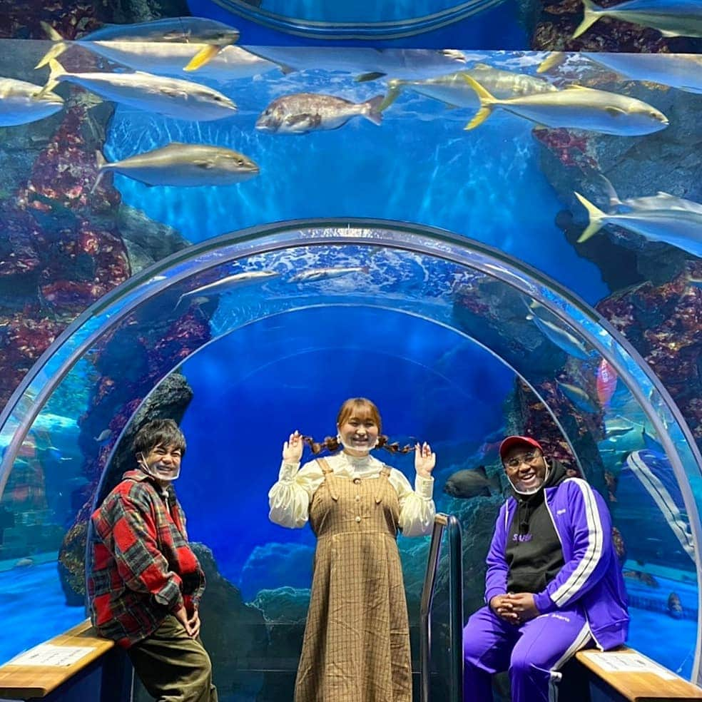 りんごちゃんさんのインスタグラム写真 - (りんごちゃんInstagram)「まるで海のなか🐟  #幻想的な #夢のような時間  #綺麗に華麗に自由に #およぐお魚ちゃんたち  #水族館 #好きだなぁ  #絶好調W #見逃した方は #YouTube #MRO北陸放送 #公式チャンネル #にて見れます♡」11月19日 16時36分 - ringochan_0626