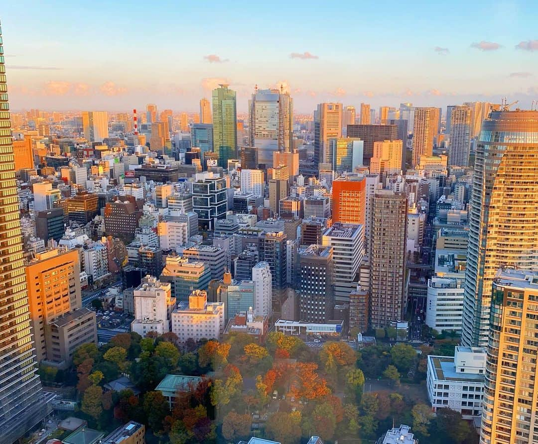 マキ・コニクソンさんのインスタグラム写真 - (マキ・コニクソンInstagram)「ラスト二日は 東京タワーちゃま🗼が見える タワースイートにお部屋チェンジしました！ 全部屋からタワー様が見れるの！ それもドカァ〜〜〜ン！😆  次はいつ日本に来れるか分からないから フィニッシュは大好きな東京タワー🗼で！  ガラス張りでめちゃくちゃ素敵なお部屋です！ずーっとお部屋にいられる！ テンションアガリまくりの私！🤗 今日は幸せのセー子です！💕💕  #コニクソンのホテルレポ✍🏻  #東京のホテル巡り #tokyoeditiontoranomon  #東京エディション虎ノ門  #親孝行万歳🙌🏼 #東京タワーちゃま🗼が大好き過ぎる❤ #ストーリー見てね！☝🏼」11月19日 16時50分 - makikonikson