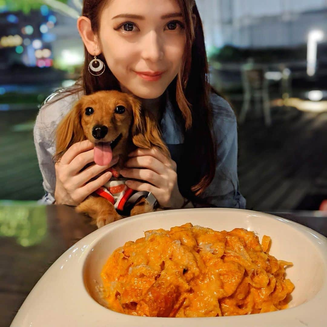 大見さなえさんのインスタグラム写真 - (大見さなえInstagram)「ペット可イタリアン😍🐶🥩﻿ 『#バグースバー芝浦アイランド 』﻿ リゾートダイニングでテラス席ではペットOK🐶🌴🍹﻿ ﻿ ボタン海老のトマトクリーム　タリアテッレ1,880円﻿ ボタン海老を贅沢に使ったトマトクリームに﻿ パスタはモチモチとしとる(*´꒳`*)﻿🍝 ﻿ テラス席からは芝浦の運河を 眺められて非日常的空間(*´꒳`*)🌃﻿ ﻿ ランチで女子会やデート﻿、ペット連れてご飯にも🙆‍♀️✨﻿ ﻿ ーーーーーーーーーーーーーーーーーーーーー  エリア　田町駅﻿ ☎︎ 050-5594-4140﻿ 予算　﻿ Dinner￥4,000～￥4,999﻿ Lunch￥1,000～￥1,999﻿ ﻿ 営業時間﻿ 【ランチ】﻿11：30～14：00﻿ 【カフェ】﻿14：00～17：30﻿ 【ディナー】﻿17：30～23：00 (LO 22:30)﻿ ﻿ ﻿ #バグースバー #バグースバー芝浦 #ペット可﻿」11月19日 16時59分 - tabe_megumi