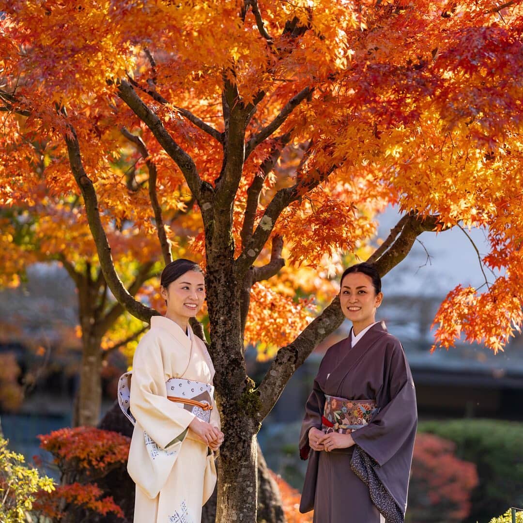 南早苗のインスタグラム：「先日の秋晴れに　@gofukunoasakawa  さんと紅葉狩りへ🍁 秋の思い出が一つ増えました。 @kurikara_fudouji  さん ありがとうございました😆  #秋　#紅葉狩り　#倶利伽羅不動寺西之坊鳳凰殿  #着物　#着物生活　#和　#加賀友禅　#伝統工芸　#朝川呉服店」