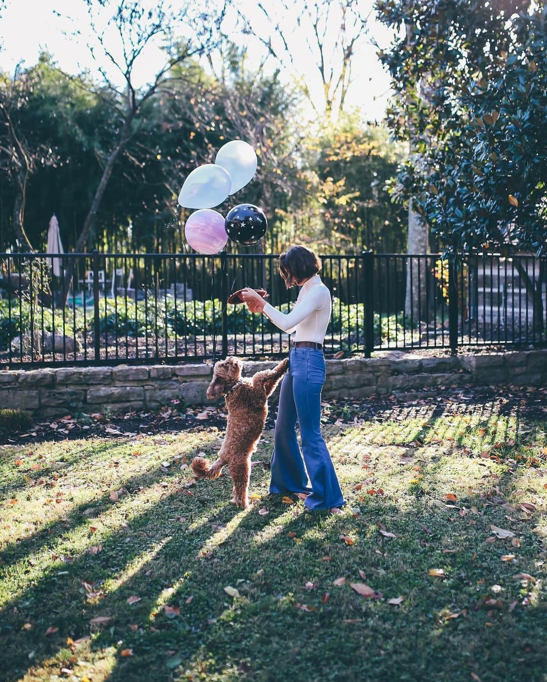 テイラー・ヒルさんのインスタグラム写真 - (テイラー・ヒルInstagram)「In case you were wondering...YES, I did tie balloons 🎈to @tatetheminidoodle & YES they’re tied to my pants too 😂」11月19日 8時22分 - taylor_hill