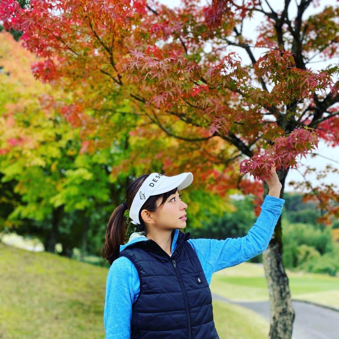 RIKAのグルメインスタ