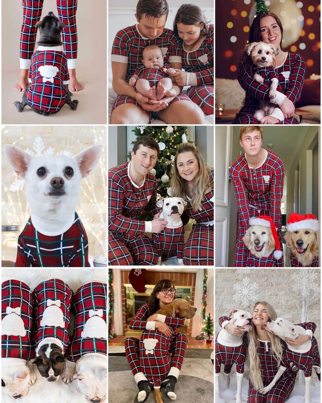 DARREN&PHILLIPさんのインスタグラム写真 - (DARREN&PHILLIPInstagram)「We are live!! 😍😍👏🏻🎄🎄 It’s the most wonderful day of the year! Just look at all these beautiful doggos and their families. 😭😭 The pictures make us so happy!  We are so so excited for you all to get your. We D&P Christmas pjs! Link in bio!」11月19日 9時15分 - the_blueboys